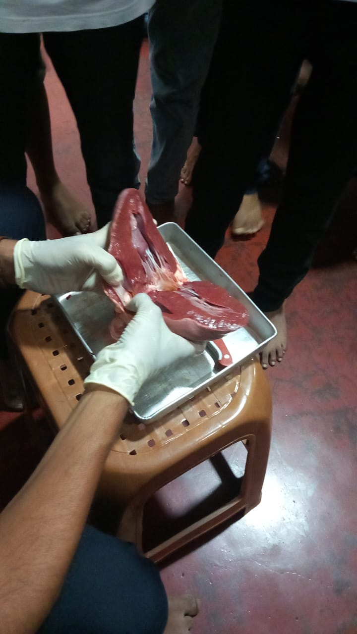 Laboratory Work
