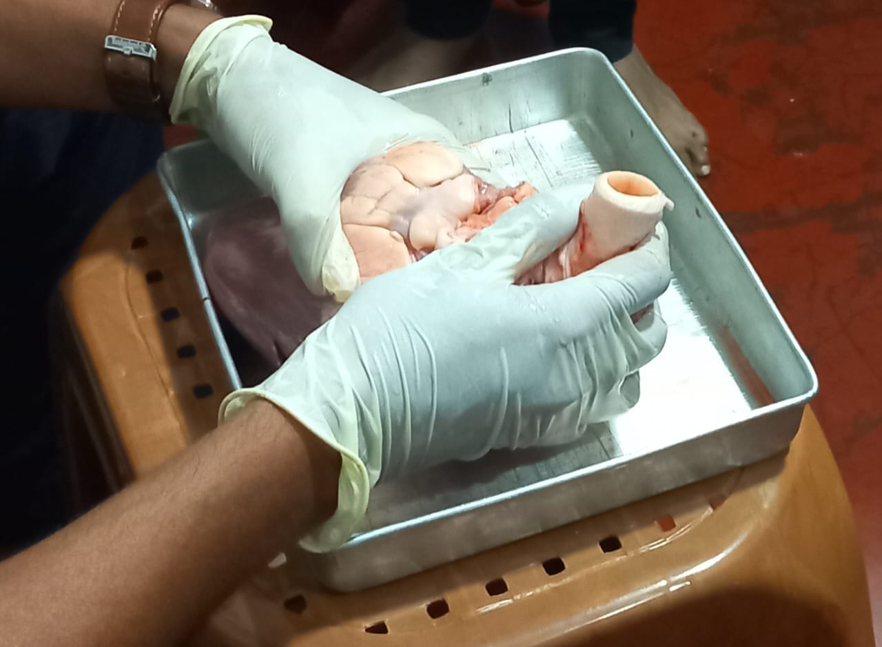 Hands-on Learning