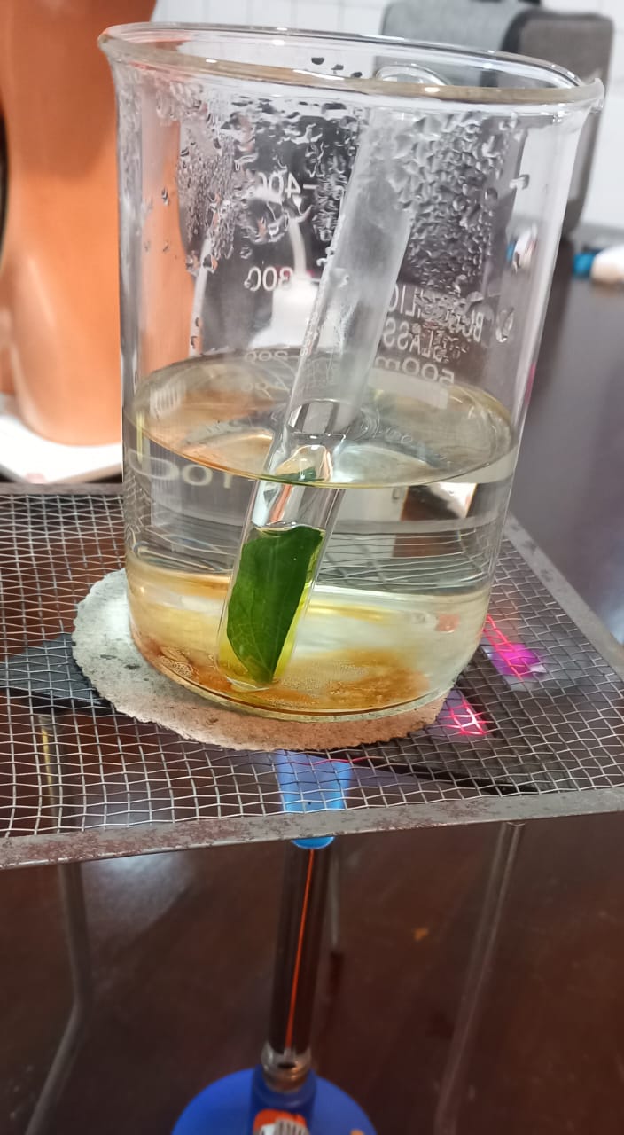 Scientific Methods