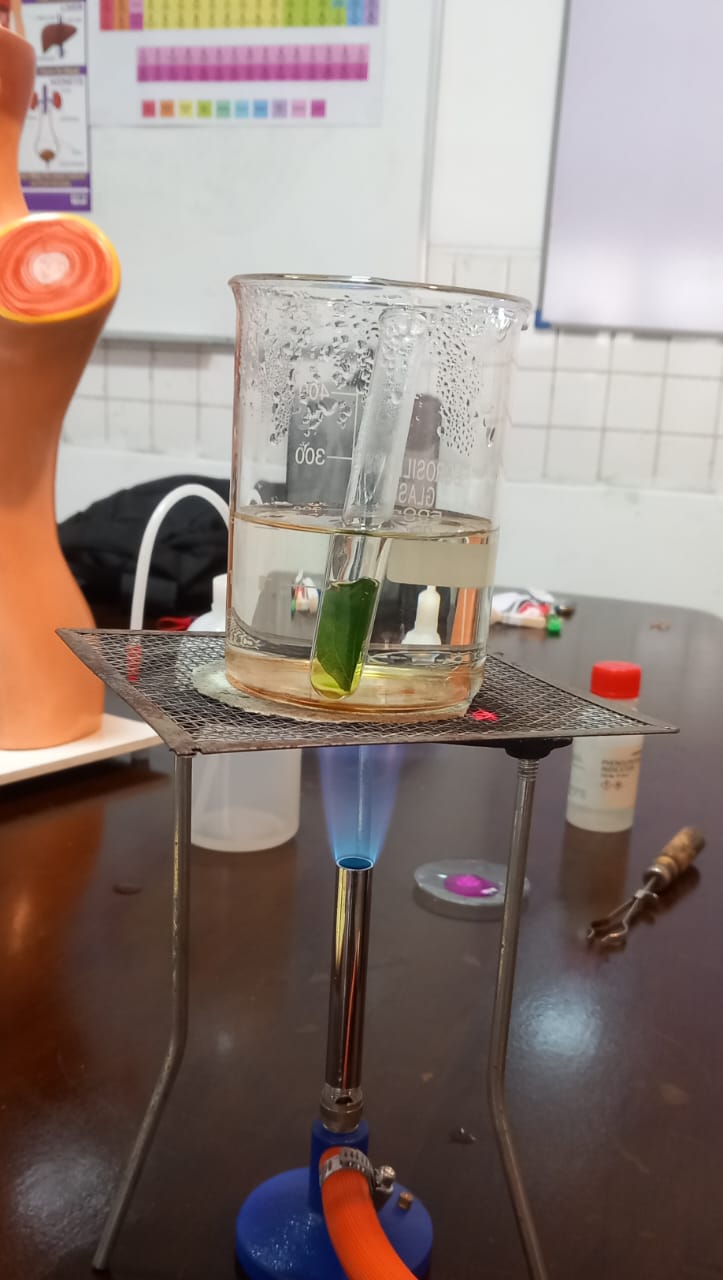 Applied Learning